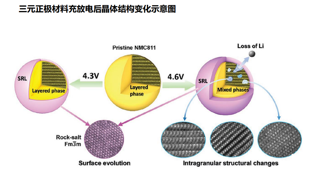 技术篇：三元正极材料之高镍！