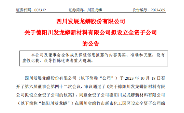 川发龙蟒：投资投建年产10万吨磷酸铁锂及配套生产装置