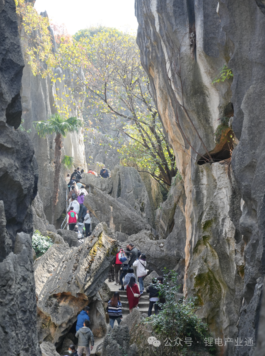 记录！2024年艾邦云南团建之旅