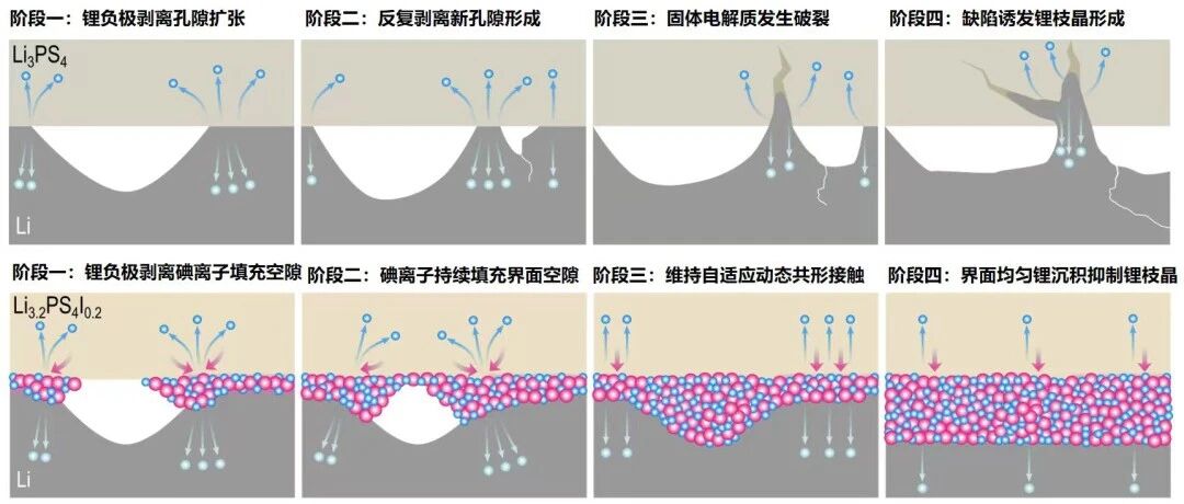 中科院科研團隊突破全固態金屬锂電池關鍵技術瓶頸